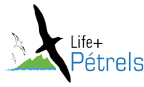 Life+ Petrels